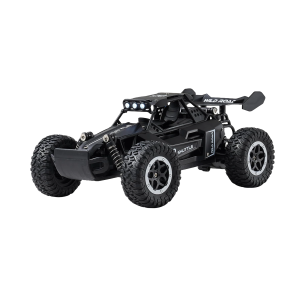 Buggy 1:16 RC: imagen 1