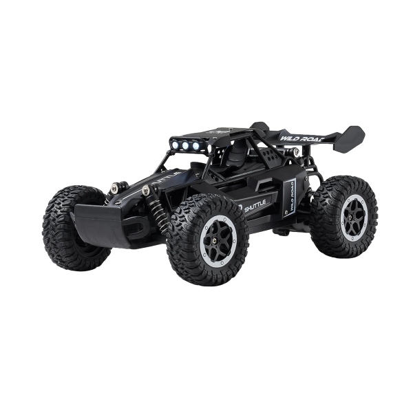 Buggy 1:16 RC